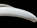 125/250 Volt 50 Amp Glendinning Cablemaster Replacement Shore Power Cable WHITE 75'
